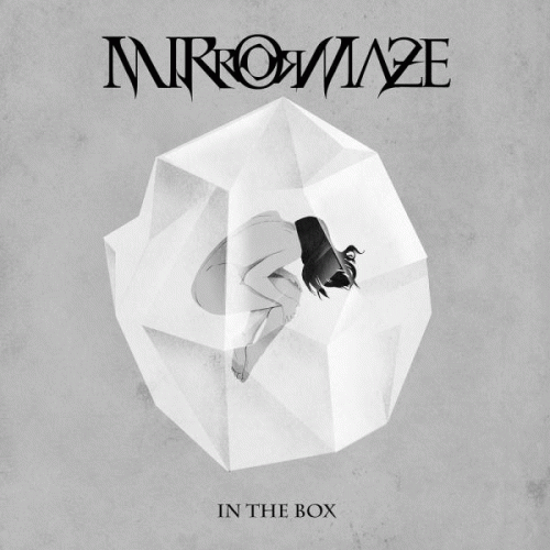 Mirrormaze : In the Box